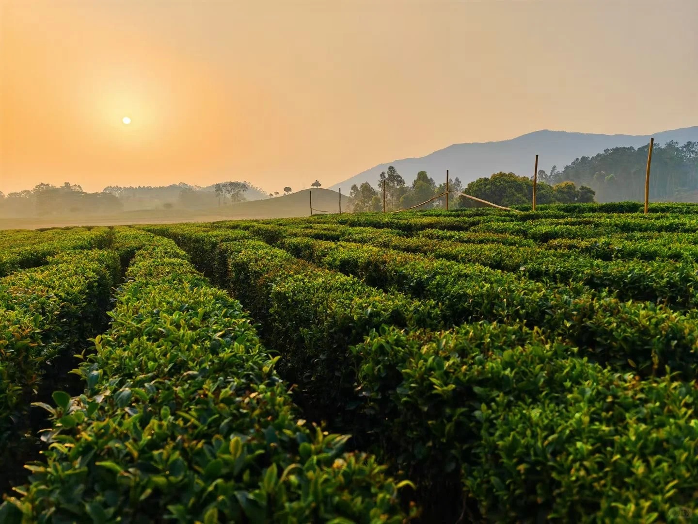 Factory Exterior View