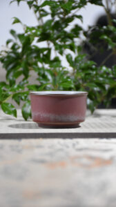 Plum Blossom Porcelain Tea Cup