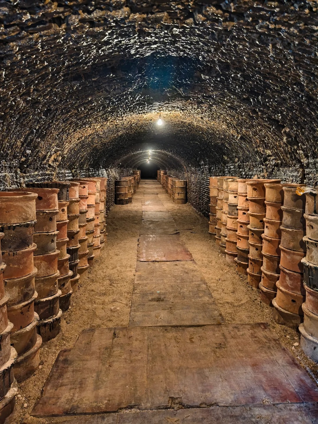 Dragon Kiln Panoramic View