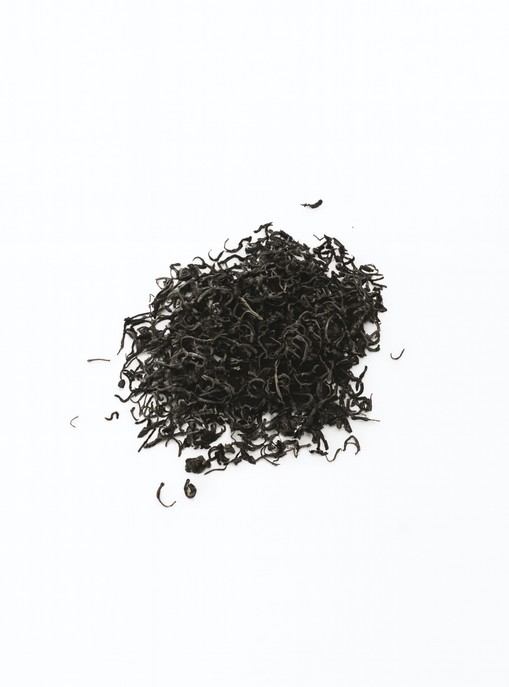 Golden Snail Hairpin