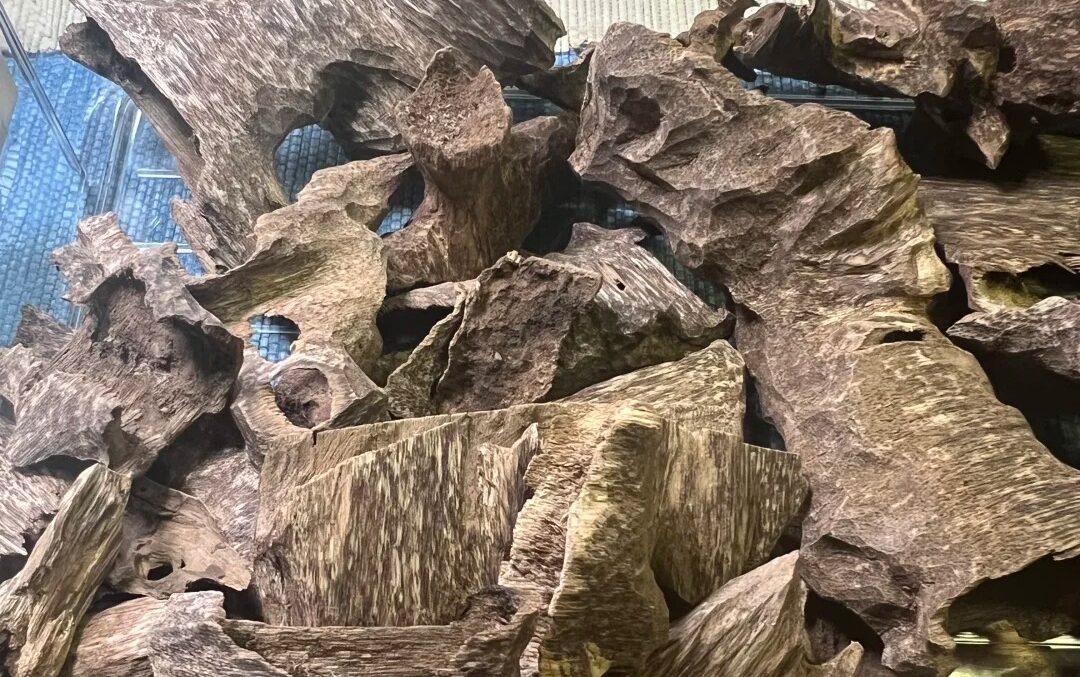 Is the “King of Incense” worth the price: How do I know if my Agarwood is truly Hainan?
